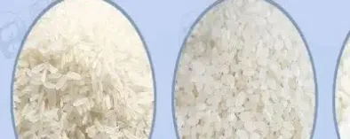 粳米期货合约介绍(粳米期货是什么)_https://www.boyangwujin.com_纳指期货_第1张