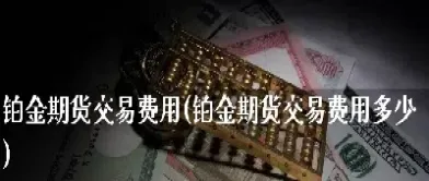 期货原油涨价铂金会降价吗(期货石油上涨了吗)_https://www.boyangwujin.com_纳指期货_第1张