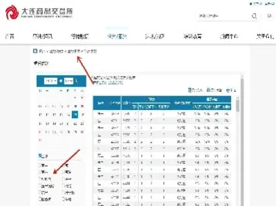 期货sa的手续费(期货手续费13什么意思)