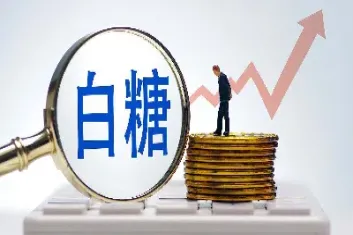 期货品种白糖109是什么意思(期货品种白糖109是什么意思)