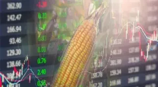 期货玉米保证金一百多(期货玉米保证金一百多是多少)_https://www.boyangwujin.com_道指期货_第1张