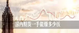 期货一股多少手(期货每手多少股)
