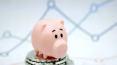 生猪期货大跌是套保造成吗(生猪期货怎么回事)