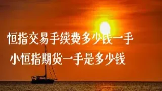 恒指期货交易手续费几个点(恒指期货交易技巧)