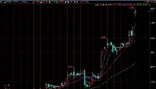 生猪期货强平仓(生猪期货平仓是什么意思)_https://www.boyangwujin.com_内盘期货_第1张