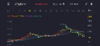 价值投资适合股票还是期货(期货价值投资理论)