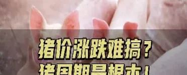 猪肉竟成了期货(猪肉期货是怎么回事)