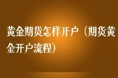期货投资外汇黄金原(外汇黄金期货可以投资吗)_https://www.boyangwujin.com_纳指期货_第1张