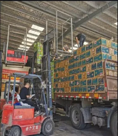 调整交割仓库对期货影响(调整交割仓库对期货影响有哪些)_https://www.boyangwujin.com_纳指期货_第1张