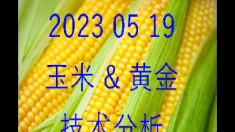 玉米期货基差多少(玉米期货基本面分析)_https://www.boyangwujin.com_恒生指数_第1张