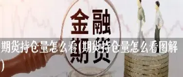 期货的持仓量怎么分析(期货的持仓量怎么分析出来)