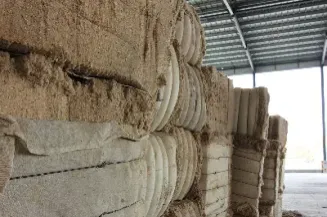 期货纸浆是指再生纸吗(期货纸浆的用途)_https://www.boyangwujin.com_期货开户_第1张