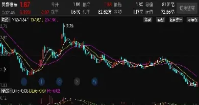 荣盛中期期货(荣盛中期期货怎么样)