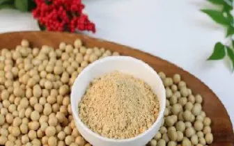 豆粕主连和豆粕期货的区别(豆粕主链和豆粕期货一样吗)_https://www.boyangwujin.com_恒生指数_第1张