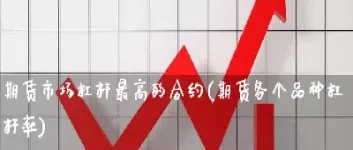 期货有杠杆可以吗(期货的杠杆可以自己选择吗)_https://www.boyangwujin.com_期货直播间_第1张