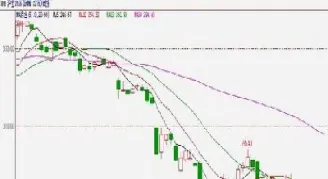 鲁证期货出入金怎么样的(鲁证期货怎么样)_https://www.boyangwujin.com_白银期货_第1张