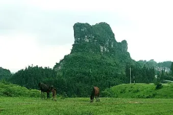期货老将经验谈(一位期货老将的经验之谈领悟了就可稳定赢利了)