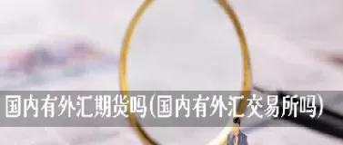 外汇也是期货吗(外汇比期货好吗)