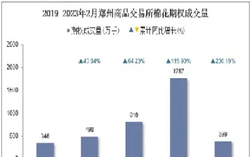 棉花期权持仓限额(棉花期货持仓限额)