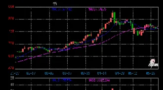 今日银行黄金价格最新价查询2024(今日最新银行黄金价格)
