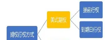 期权交易的特征(期权交易的特征有哪些)