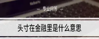 金融领域中的头寸含义(金融学头寸名词解释)