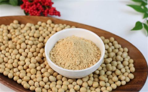 美豆期货实时行情该如何解读？2026年全球供需与内外联动逻辑