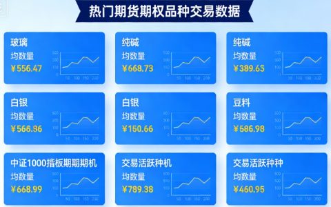 期货里期权哪个品种做的多？2025-2026年热门品种全解析