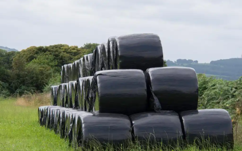 2026橡胶期货实时行情怎么抓？信号识别、查询渠道与实操指南