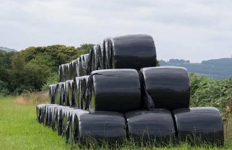 2026橡胶期货实时行情怎么抓?信号识别、查询渠道与实操指南