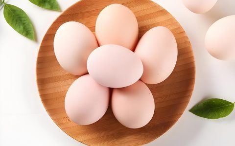 鸡蛋期货行情走势如何预判？2026新手适配供需与季节的指南