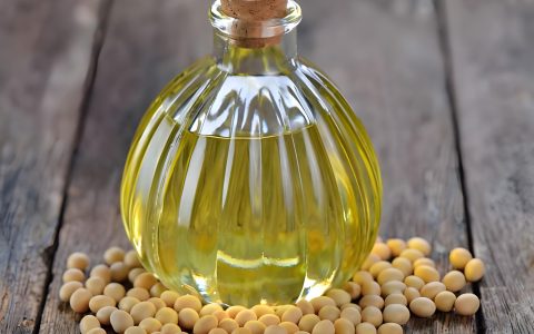 2026美豆油期货行情如何研判？国际联动、供需动态与实操指南