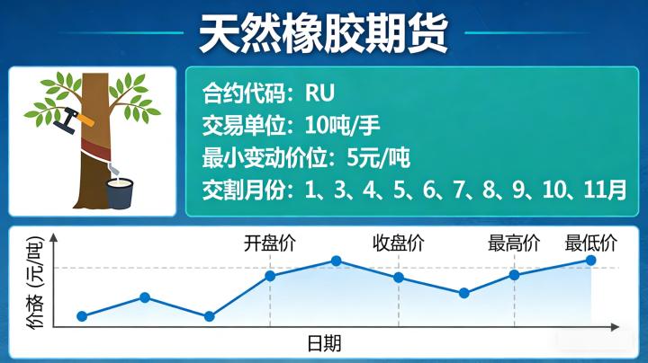 天然橡胶期货的价格波动逻辑是什么？2026新手交易该重点关注哪些要点？