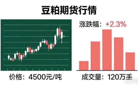 豆粕期货行情2026年走势如何？新手该如何研判与把握交易机会？
