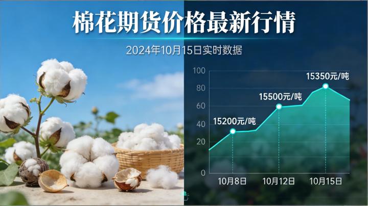 棉花期货价格最新行情2026年2月？郑棉及ICE棉走势分析