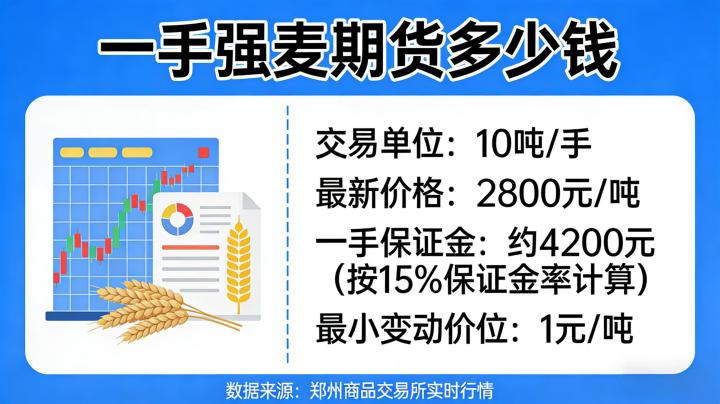 一手强麦期货多少钱2026年？保证金及成本计算全攻略