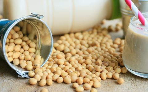 2026豆二期货怎么入门？品种差异+供需逻辑+实操指南