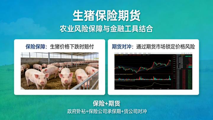 生猪保险期货 2026：养殖周期波动加剧背景下如何发挥风险对冲与稳产保供的核心价值？