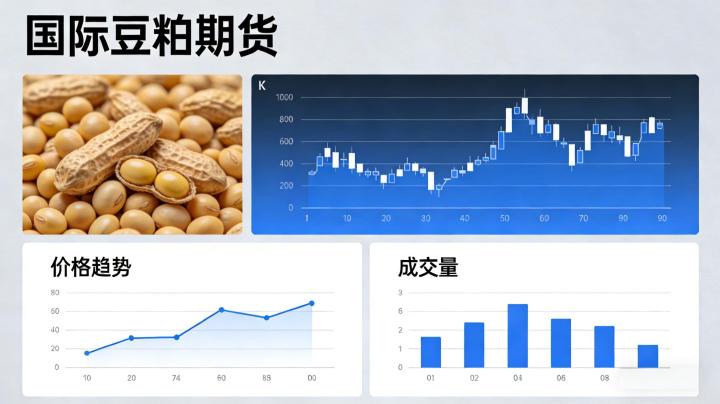 国际豆粕期货 2026:全球油脂油料核心交易品种,规则逻辑与价格影响因素都讲明白了吗?