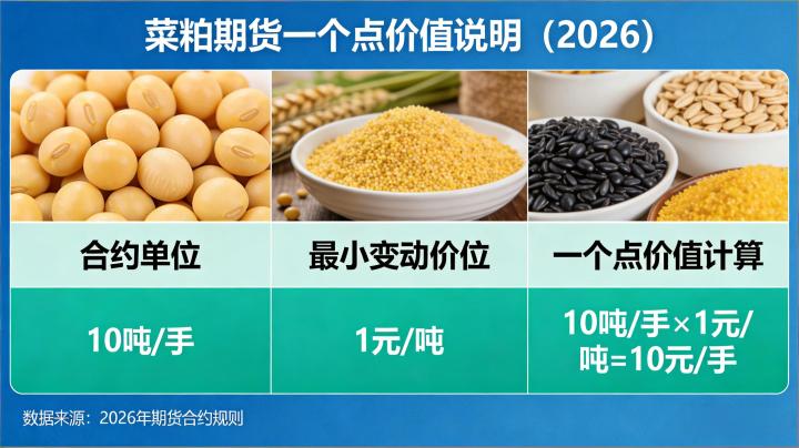 菜粕期货一个点多少钱 2026 年最新交易规则与盈亏计算方式该如何完整掌握?