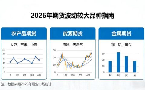 期货哪个品种波动大 2026：高波动品种筛选与交易适配的核心标准是什么？