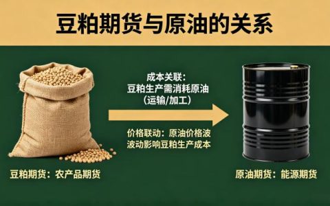 豆粕期货与原油有什么关系？联动逻辑与行情影响全解析