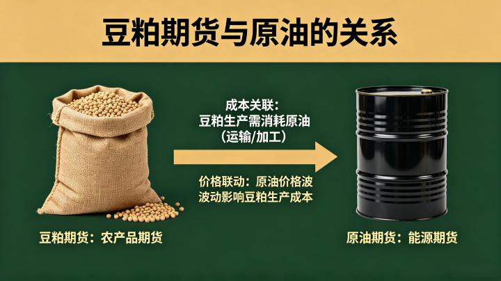 豆粕期货与原油有什么关系?联动逻辑与行情影响全解析