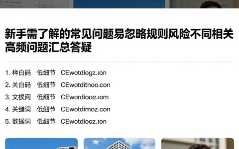 新手需了解的常见问题易忽略规则风险不同相关高频问题汇总答疑