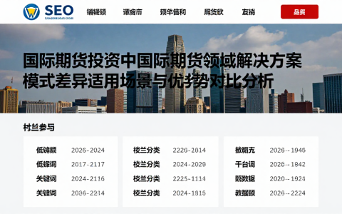 国际期货投资中国际期货领域解决方案模式差异适用场景与优劣势对比分析