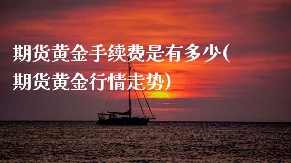 期货黄金手续费是有多少(期货黄金行情走势)_https://www.boyangwujin.com_期货直播间_第1张