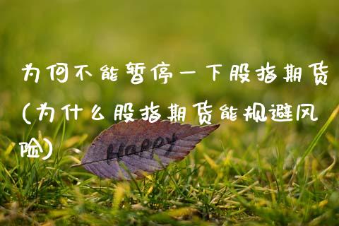为何不能暂停一下股指期货(为什么股指期货能规避风险)_https://www.boyangwujin.com_期货直播间_第1张