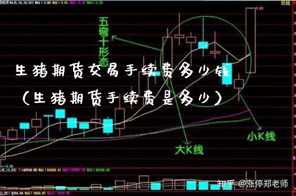 生猪期货交易手续费多少钱（生猪期货手续费是多少）