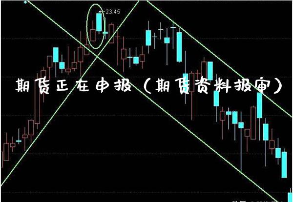 期货正在申报（期货资料报审）_https://www.boyangwujin.com_期货直播间_第1张