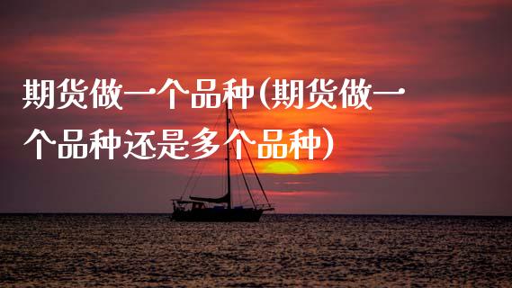 期货做一个品种(期货做一个品种还是多个品种)